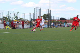 九游网游官网-荷兰队在国际赛场持续强势，晋级形势良好